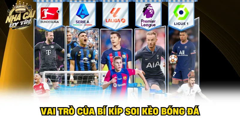 Vai trò của bí kíp soi kèo bóng đá