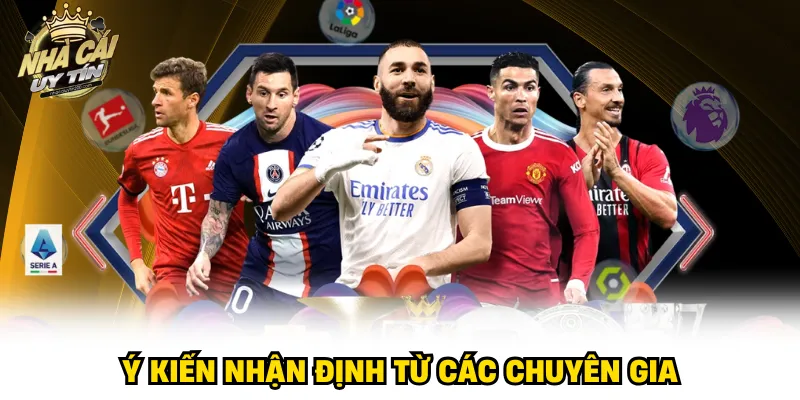 Ý kiến nhận định từ các chuyên gia